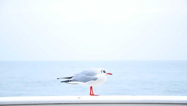 麻将技巧